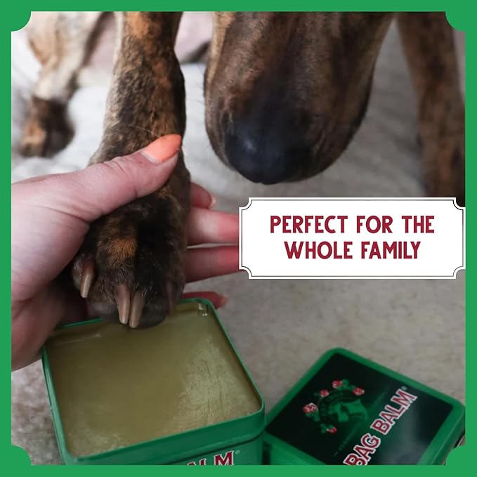 Bag Balm Vermont’s Original Pet Paw & Skin Balm – Moisturizing Salve for Dry, Cracked Paws, Noses & Rough Skin – 8 Ounce – 2 Pack