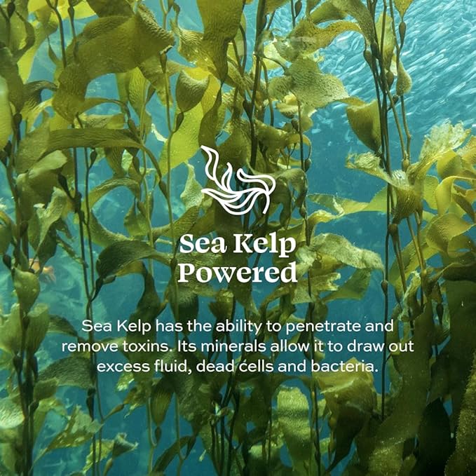 Aleavia Orchid Prebiotic Body Lotion – Lightly Scented, All-Natural Moisturizing Body Lotion with Organic Essential Oils for Soft, Smooth Skin – 12 Oz