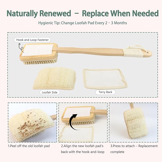 2-in-1 Shower Brush with Loofah Refill Pads, Dual-Sided Long Handle Body Scrubber with Soft & Firm Bristles and Loofah Pad Attachment, Exfoliating Back Brush for Wet or Dry Use, for Men and Women