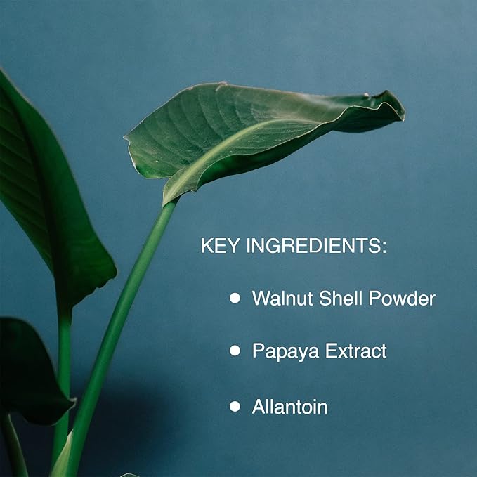 Pharmagel Enzyme Ex-Cell - Gentle Papaya Face Exfoliator Scrub for All Skin Types - 6 Ounces