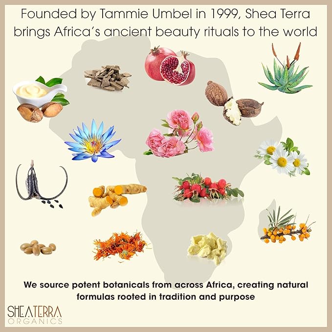 Shea Terra Organics 100% Organic Cold-Pressed Virgin Shea Butter – S. African Lavender | Natural Anti-Aging Daily Skin, Nails & Hair Cream to Soften & Rejuvenate Skin & Reduce Stretch Marks – 6 oz