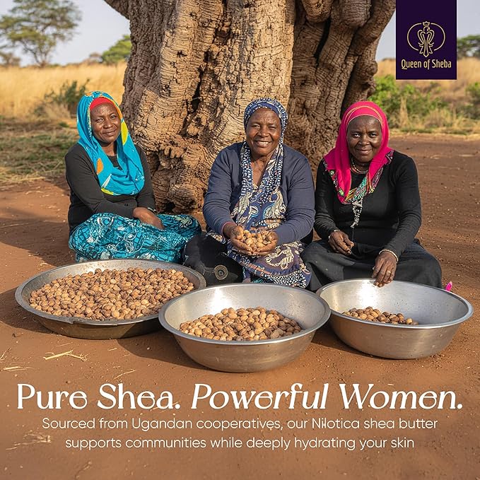 African Shea Butter Raw Organic Unrefined Shea Butter for Face 2 Oz (Pack of 1) Japanese Cherry Blossom - Organically Certified USDA for All Skin Types Body and Hair Moisturizing Skincare