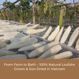 Natural Loofah, Exfoliating Body Scrubber with Handle, Biodegradable Bath Loofahs on Stick, Replaceable Pads, Chemical-Free Bath & Body Loofah for Women, Men and Kids