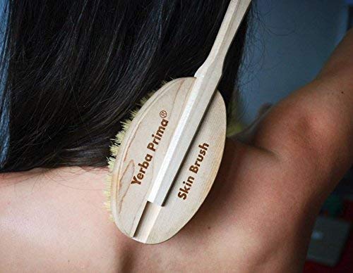 Yerba Prima Tampico Skin Brush for Exfoliation, Dry Brushing, and Blood Circulation with Natural Fiber Bristles and an All-Natural Maple Wood Handle - 1 Brush
