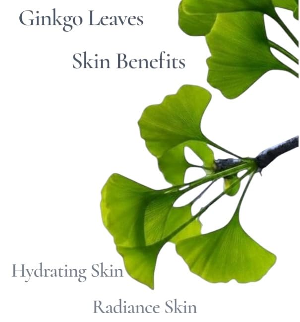 Advanced Protection Sunscreen, Broad Spectrum SPF 30, Ginkgo and Green Tea Extracts