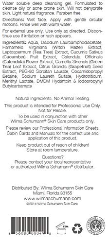 WILMA SCHUMANN Purifying Facial Cleanser for Acne-prone & Oily Skin Cleanser Gel, 16 fl oz / 210ml, Daily Acne Face Cleanser with Tea Tree Extract, Light Natural Fragrance and Paraben Free