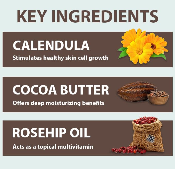 All Good Body Lotion (2-Pack, Coconut)