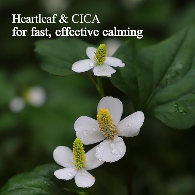 Pyunkang Yul PKY Calming Relief Gel Wash Off Pack 100g, Soothing & Refreshing Gel Mask for Sensitive Skin