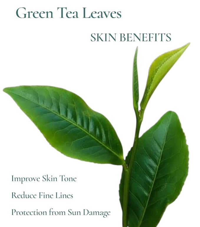 Advanced Protection Sunscreen, Broad Spectrum SPF 30, Ginkgo and Green Tea Extracts