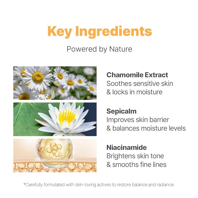 NACIFIC Fresh Herb Origin Facial Moisturizer Vitamin B, Vitamin Radiance Skin's moisture barrier Cream Hydrating day and night Korean skincare radiation relief cream 1.69fl.oz 50ml for All skin types