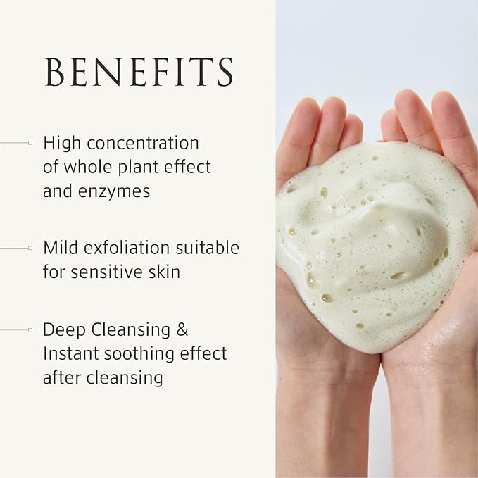Whole Plant Daily Foam & Exfoliant (2.82 oz) – Matcha Facial Cleanser, Gentle Enzyme Foam, Suitable for Sensitive Skin, Korean Skincare, Rich Lather, Makeup Remover