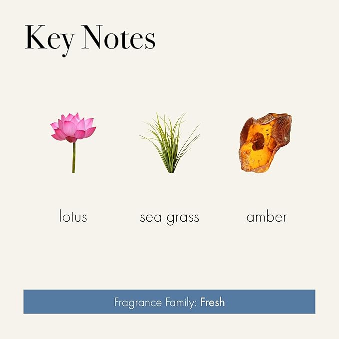 LAFCO New York Hand Cream, Sea & Dune - 12 oz - Restores & Repairs Skin - All Skin Types - Hypoallergenic, Synthetic Free & Cruelty Free - Made in Italy