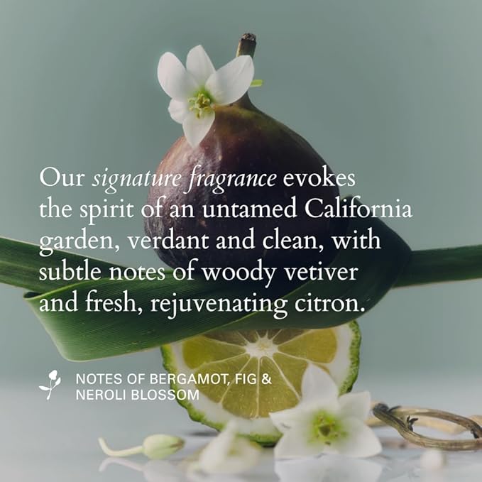 "RŌZ Santa Lucia Styling Oil - smooths, protects, and adds shine. Vegan, cruelty free, FREE of silicone, sulfates, parabens and PEGS, color safe - 2 Fl.Oz / 60 ml"