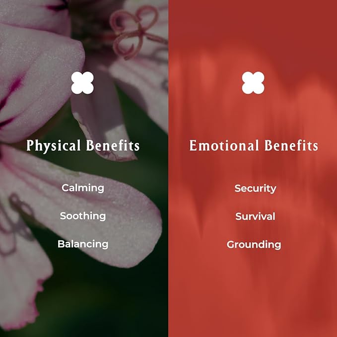 INNA Organic Sheet Mask Set, Anti-Aging & Hydrating, EWG & COSMOS Certified (Pack of 5) | First Pick Discovery Set | Luxury Clean Beauty