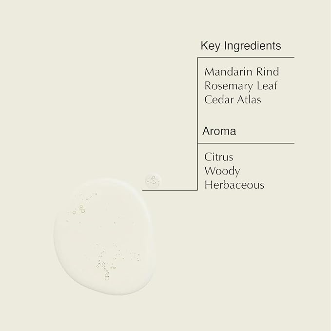 Aesop Aromatique Resurrection & Reverence Hand Wash Set | Liquid Hand Soaps to Gently Cleanse and Exfoliate Skin - Made with Hydrating Essential Oil Blend | 16.9 oz (Set of 2)