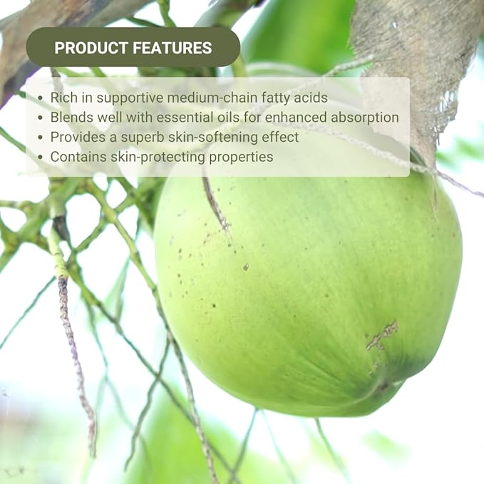 Fractionated Coconut Oil - Sourced Directly from our Farm Partner in the Philippines - Carrier Oil for Diluting Essential Oils, Body, Hair, and Skin Moisturizer - (1Gallon)