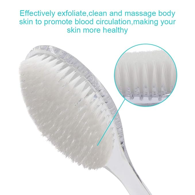 Body Dry Brushing Back Scrubber With Curved Plastic Long Handle - Clear Bath Shower Brush for Dry Skin Exfoliating, Cellulite - for Men and Women (Transparent Handle)