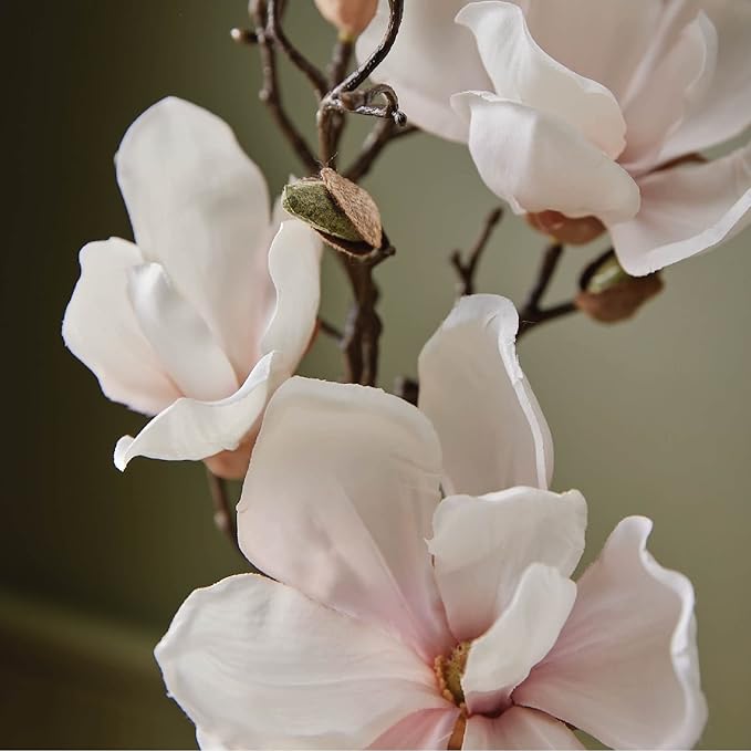 Thymes Moisturizing Hand Lotion for Dry Skin - Moisturizer for Beauty and Personal Care - Luxury Hand Lotion for Women & Men with Shea Butter & Aloe Vera (Magnolia Willow, 9 fl oz)