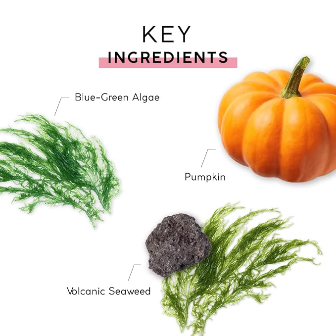 MyCHELLE Dermaceuticals Pumpkin Cleanser (4.2 Fl Oz) - Daily Facial Cleanser & Skin Cleanser with Pumpkin Seed Oil, Cloudberry Extract & Antioxidants - Moisturizes, Nourishes & Helps Strengthen Skin