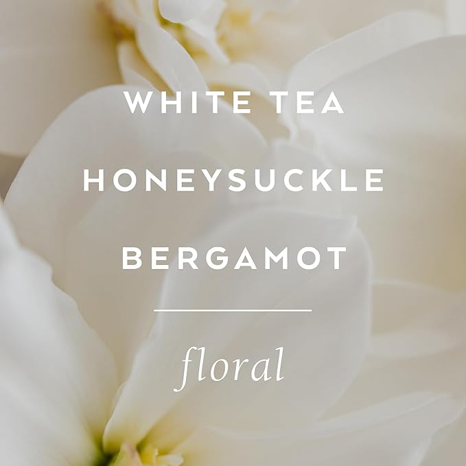 LOLLIA Dream Handcreme | Fragrant, Moisturizing Coveted Hand Lotion | Lightweight and Quick Absorbing | Finest Ingredients Including Shea Butter | 4 oz / 113 g