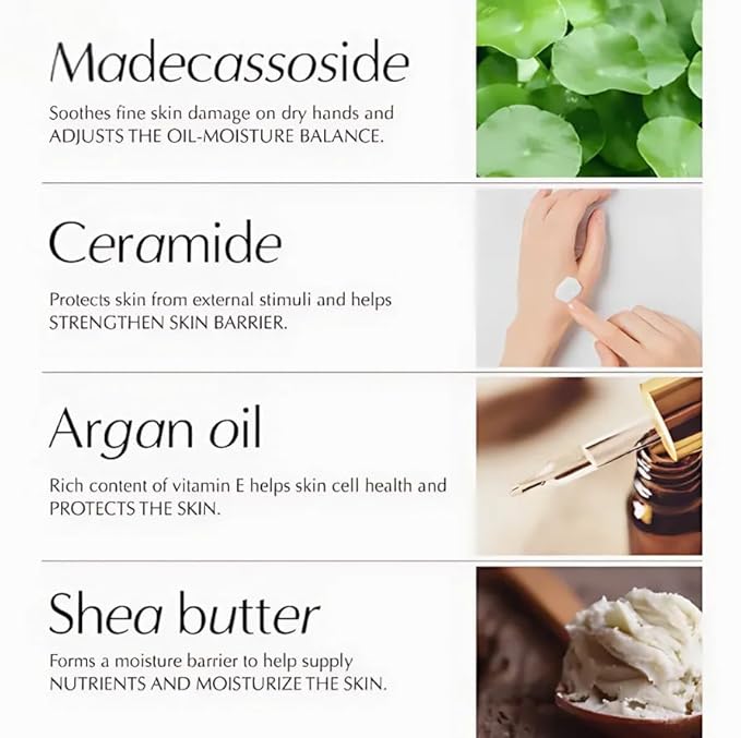 W.Dressroom Moisturizing Hand Cream for Dry Hands, Non-Greasy, Quick-Absorbing Korean Hand Lotion, Travel Size 1.69 fl oz (50 ml), No.514 May Rose Shop Scent