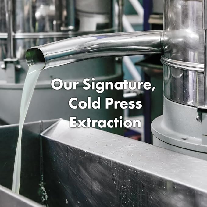 RATED GREEN Cold Press Tamanu Oil Hair Conditioning Mask, 8.45 Fl. Oz, Korean Care for Dry Damaged Hair, Deep Conditioning Treatment with Black Currant, Pack of 5