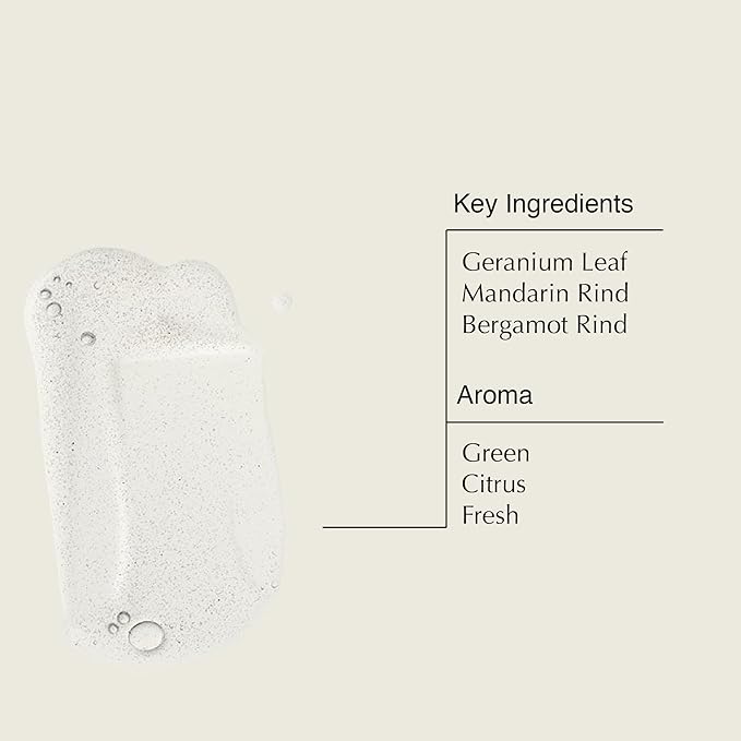 Aesop Reverence Aromatique Hand Wash & Geranium Leaf Body Cleanser | Paraben, Cruelty-Free & Vegan | 500mL/16.67oz (Set of 2)