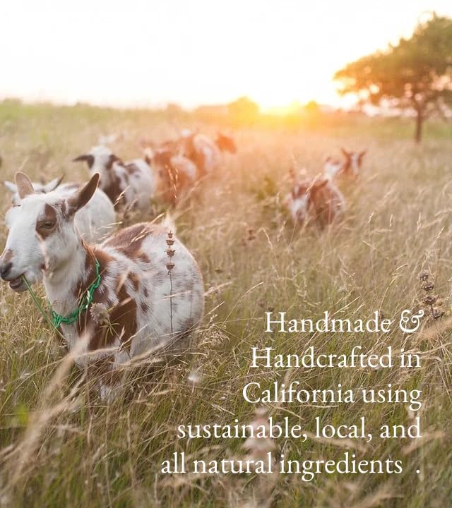 Goat Milk Body Lotion for Dry Sensitive Skin – Natural Moisturizer for Face, Hands & Body – Handmade, Fast-Absorbing, Lightweight, Non-Greasy – Multiple Scents (16oz, Wild Magnolia)