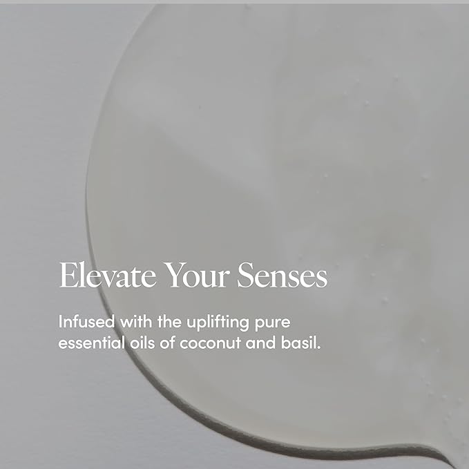 LATHER - Coconut Crème Natural Body Wash, 8 fl oz - Shower Gel Cleanser - Gentle Body Soap - Essential Oils - Coconut Oil, Aloe, Shea Butter - All Skin Types - Vegan, Cruelty Free - Beauty & Skincare