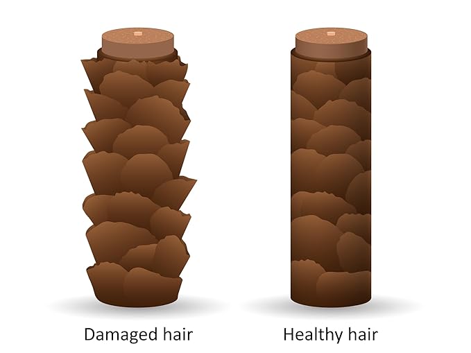 DermOrganic Original Argan Oil of Morocco Leave-In Hair Treatment - Repairs, Protects, Shines, Smooths, 4 oz (1 Pack)