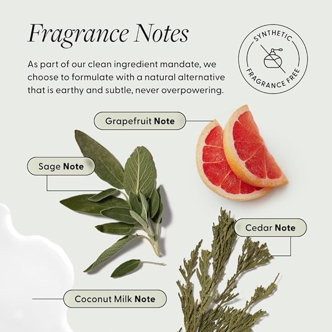 Arey Shower Duo | Daily Wash Shampoo and Smooth Conditioner Set | Delay + Reduce the Signs of Aging Grey Hair | Retain Moisture, Promote Smoothness | Vegan, Gluten-Free & Cruelty Free (2 Pack)