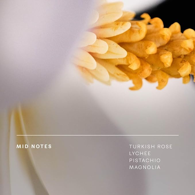 Future Society Solar Canopy Body Lotion - Luxury Fruity Floral Scented Body Cream with Notes of Bergamot, Sugar & Vetiver - Moisturizes & Replenishes Dry Skin - Hydrating & Perfumed Lotion - 8oz