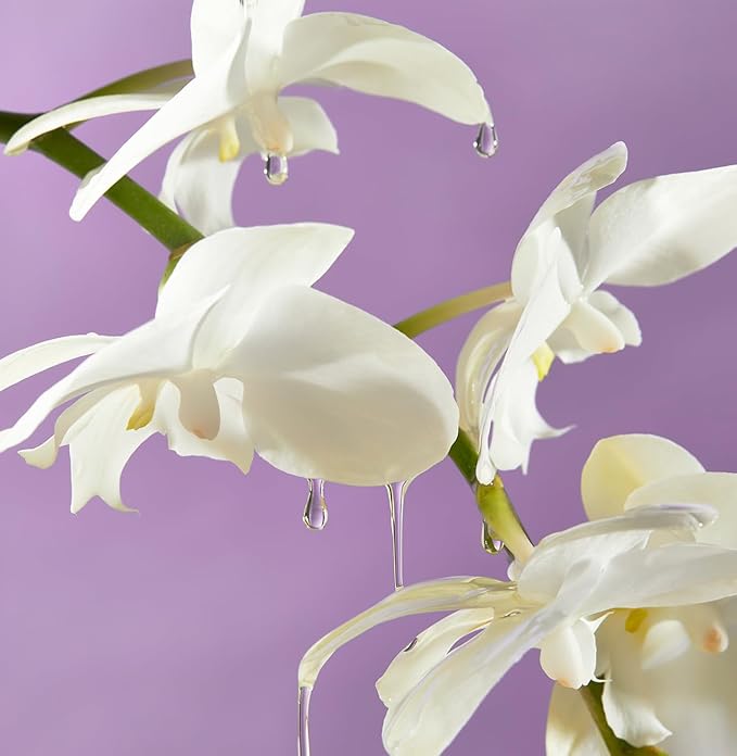 Saltair Body Oil - Luxurious Island Orchid After Shower and Bath Oil for Women and Men. Botanical, Non-Greasy, Well-Absorbing Moisturizer for Hydrating Dry Skin – 4oz Pump Bottle