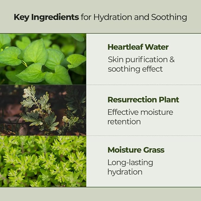 JMsolution Heart Leaf Skin Care Bundle Sunscreen SPF 50, Cleansing Oil with with Heart Leaf & Centella Asiatica