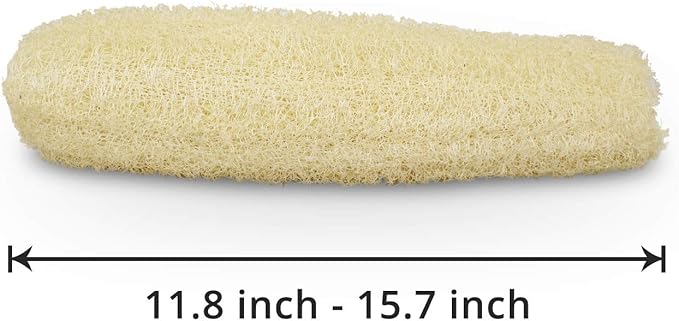 Natural Organic Loofah Sponges Large Exfoliating Shower Bath Loofah Luffa Loofa Body Scrubbers Sponges for SPA Beauty Bath and Radiant Skin, Pack of 4