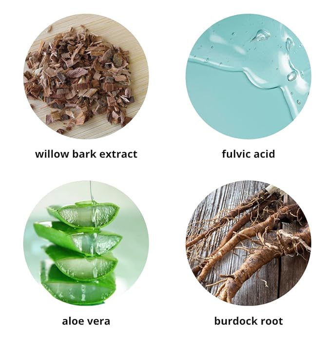 Oil Control Formula, 2oz – Clarifying Serum with Willow Bark, Zinc Oxide & Burdock Root – Organic, Vegan – Fights Breakouts & Balances Oily Skin