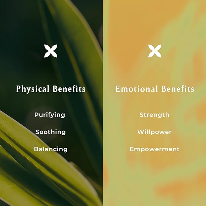 INNA Organic Sheet Mask Set, Anti-Aging & Hydrating, EWG & COSMOS Certified (Pack of 5) | First Pick Discovery Set | Luxury Clean Beauty