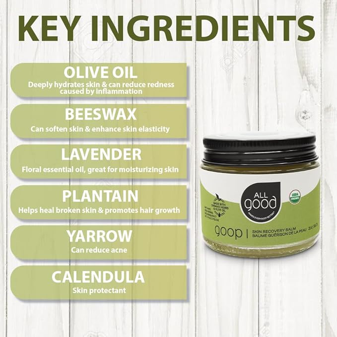 All Good Goop Organic Skin Care Recovery Balm - All Purpose Ointment w/Calendula, Lavender, Beeswax - Chafing Cream, Dry Skin Salve, Cracking Lip Moisturizer - Soothes, Hydrates & Calms - 2oz