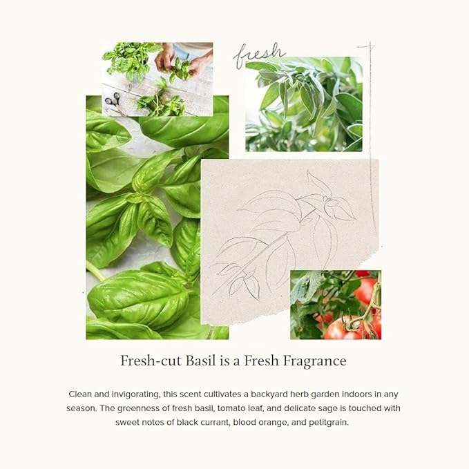 Thymes Moisturizing Hand Lotion for Dry Skin - Moisturizer for Beauty and Personal Care - Luxury Hand Lotion for Women & Men with Shea Butter & Aloe Vera (Fresh-Cut Basil, 9 fl oz)