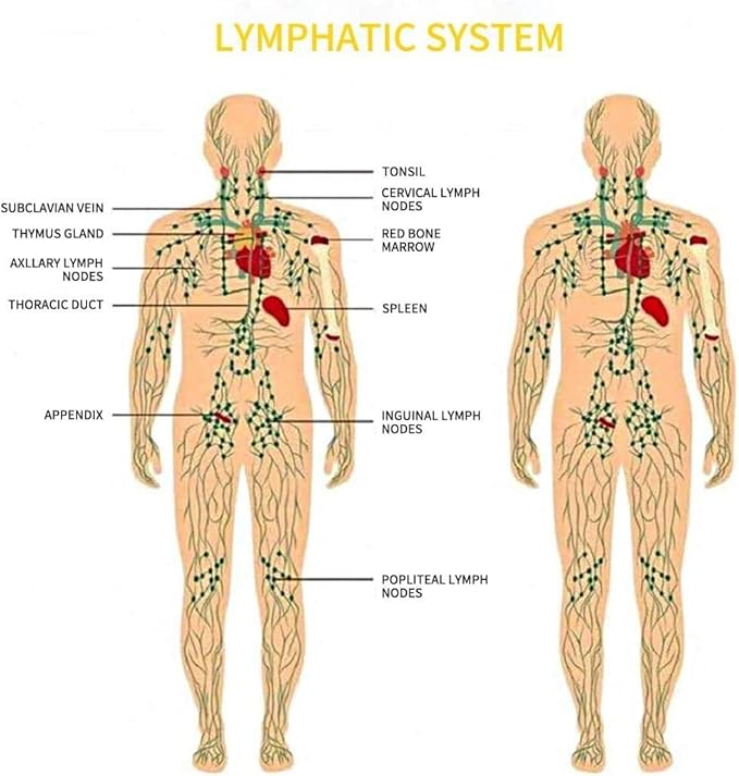 Ginger Oil,Ginger Massage Oil for Lymphatic Drainage,Natural Body Oil for Skin,Arnica Oil,Sore Muslce Massage Oil,Spa Ginger Oil-Warming and Relaxing for Christmas Stocking Stuffers for Men Women