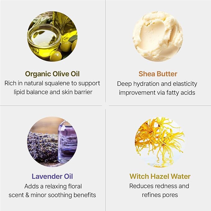 Body Lotion 16.9 fl oz – Lightweight Moisturizing Lotion with Olive Oil, Soothing Texture for Sensitive Skin, Daily Use for Whole Family, Vegan & Gentle Formula