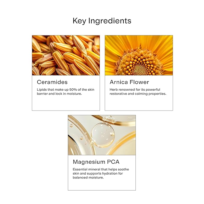 CLEARSTEM HYDRABERRY Hydrating Face Mask for Women - Night Mask for Sleeping for Women with Ceramides, Arnica & Magnesium PCA - Overnight Mask for Evening Hydration to Nourish & Protect Skin Barrier