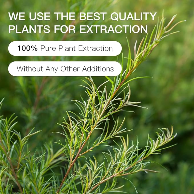 Tea Tree Essential Oil Blend, 100% Pure Natural Aromatherapy, Undiluted for Diffuser, Anti-Dandruff & Anti-Itch, Hair, Scalp-10ML