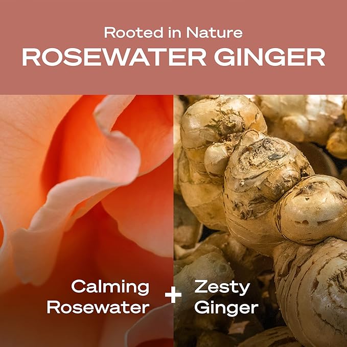 Hey Humans Rosewater Ginger Moisturizing Body Wash with Natural Ingredients & Jojoba Oil | Clean, Vegan, Sulfate Free Bath & Body Wash for Women | Recyclable Bottle, 14 fl. oz. - Pack of 3