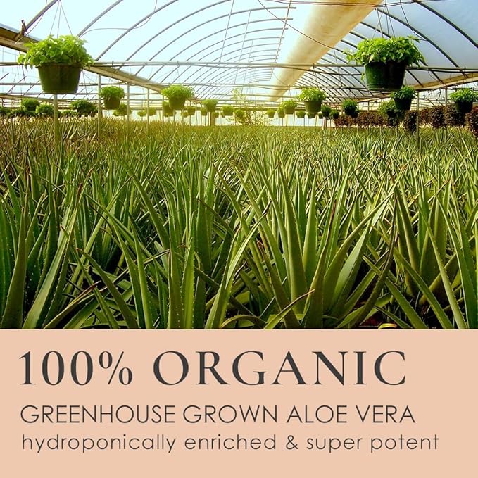 LEROSETT® Clear Skin Face Wash – Gentle Gel Cleanser with 60% Aloe-Rich Botanicals, 4% Glycolic Acid & Vit-E Microbeads – Fights Breakouts, Unclogs Pores, Balances Oil – Spa-Grade, Vegan – 6.7oz