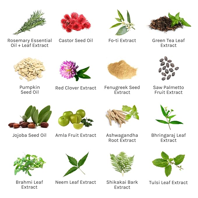 THE INNATE LIFE Rosemary Scalp Treatment | Nourish with Rosemary Oil, Strengthen Follicles, Hydrate Scalp, Prevent Hair Loss, Ideal for Healthier Hair - Organic Hair Care Solution