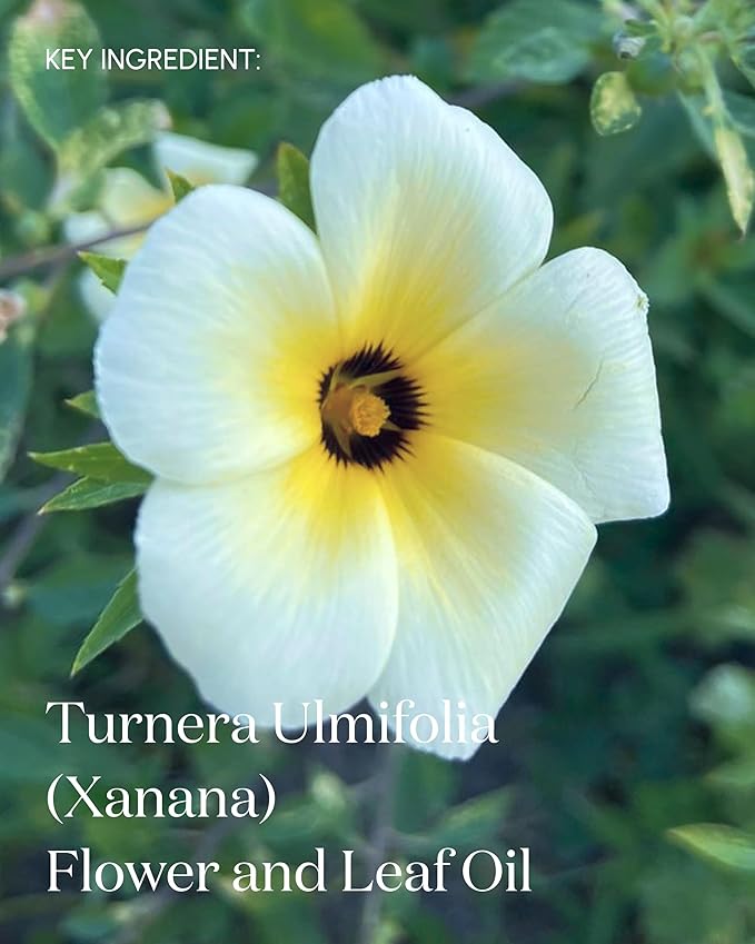 symbiome The Renewal Daily Facial Cleanser, Rich & Hydrating Oil-Based Gel Cleanser Face Wash, Vegan & Organic Face Cleanser with Seje Fruit Oil, 100mL Cleansing Gel