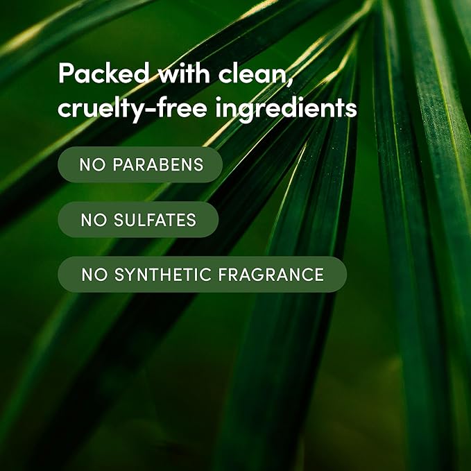 LATHER - Coconut Crème Natural Body Wash, 8 fl oz - Shower Gel Cleanser - Gentle Body Soap - Essential Oils - Coconut Oil, Aloe, Shea Butter - All Skin Types - Vegan, Cruelty Free - Beauty & Skincare