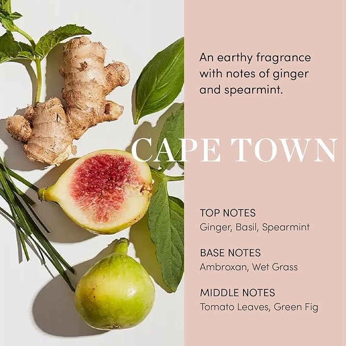 OUAI Scalp Serum - Balancing Hair Serum with Red Clover Extract, Siberian Ginseng and Peptides for Thicker and Fuller-Looking Hair - Paraben, Phthalate and Sulfate Free Scalp Care (2 Fl Oz)