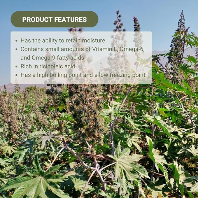 Organic Castor Oil Direct From India - Cold Pressed Castor Oil For Face, Hair Growth, Eyelash Serum, Eyebrow - Skin and Face Moisturizer and Detox - Hexane Free 32oz